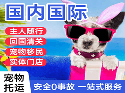 广州白云航空托运国际宠物托运 【国